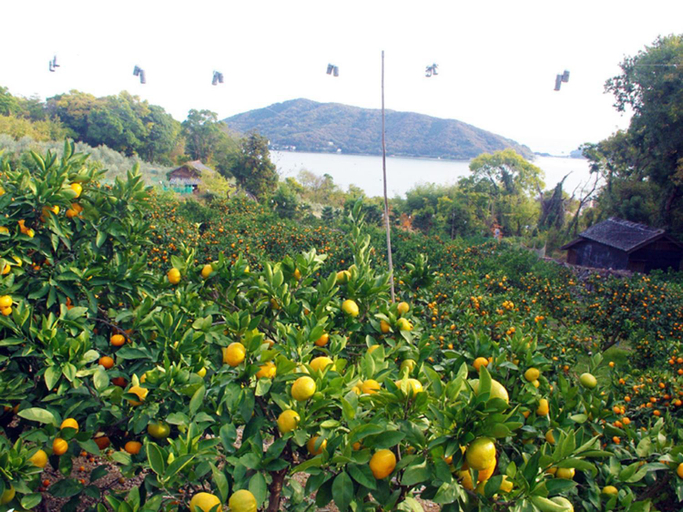 Others 5, olive no sato vingh four eyes shodoshima - Vacation STAY 85255, Shōdoshima