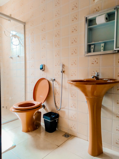 Bathroom, Cyrilo's Palace Hotel, Capitólio