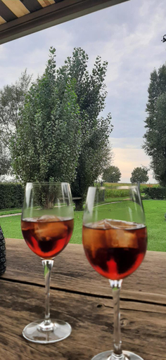 Food & Drinks 5, B & B Victors Hof, met zwemvijver in landelijke setting, Oost-Vlaanderen