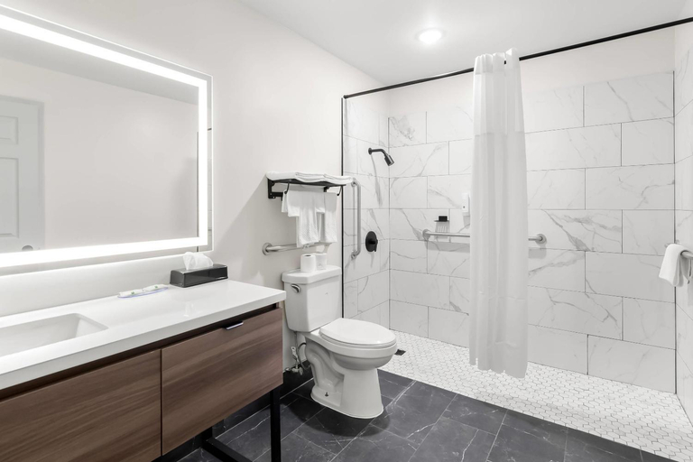 Bathroom 4, Quality Inn and Suites, Wythe