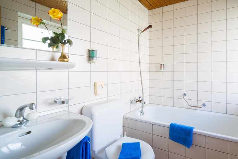 Bathroom 4, Hotel Alpina, Interlaken