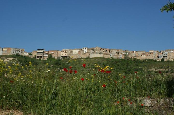Others 5, Los Trulls d´Auligue, Tarragona