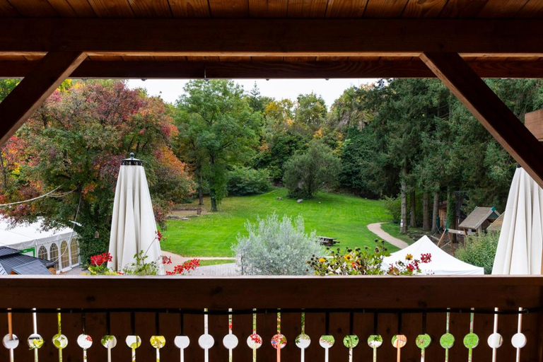 View 5, Domaine Du Hirtz, Haut-Rhin