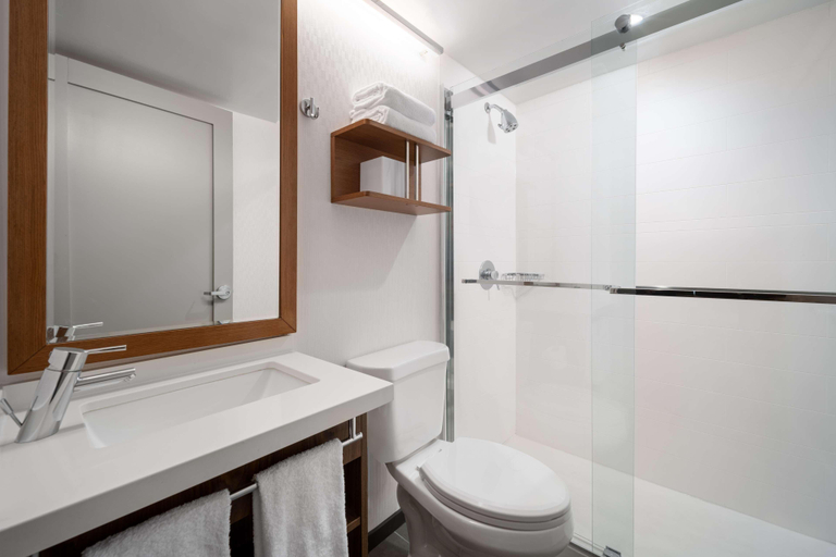 Bathroom 4, Hampton Inn Long Island City NY, New York