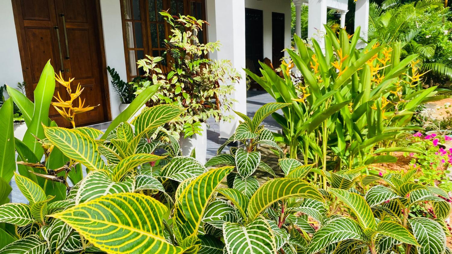Exterior & Views 1, Fairview Dill homestay, Dambulla