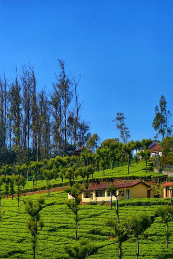 Exterior, THE HILL BUNK HEIGHTS OOTY, The Nilgiris
