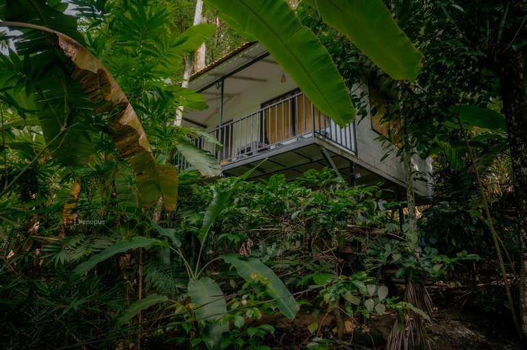Others 4, DEEP ViLLA, Wayanad