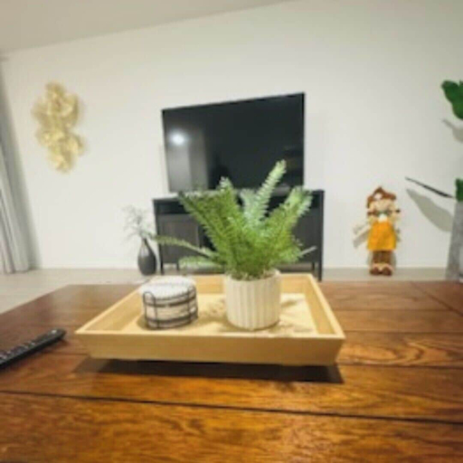 Interior 5, Opossum Trail, Comal