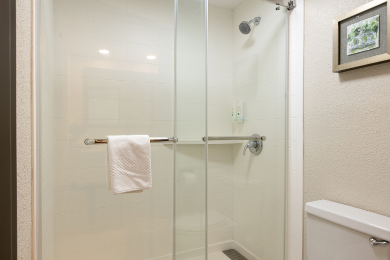 Bathroom 4, Quality Inn Pooler - Savannah I-95, Chatham