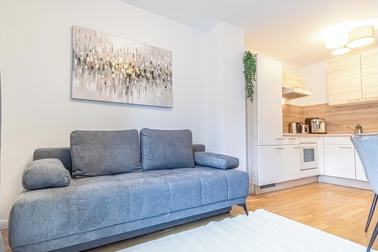 Living room 5, Nice 1BR 1LR Apartment City Center, Wien
