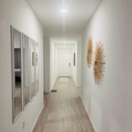Interior 4, Opossum Trail, Comal
