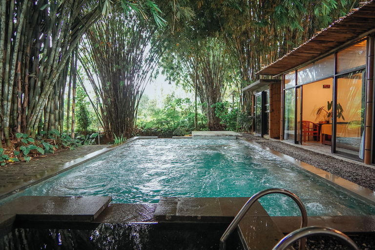 Outdoor spa tub 3, The Jungle Pots, Gianyar