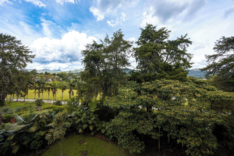 View from property 5, Apartamentos Casa Grande, Rionegro
