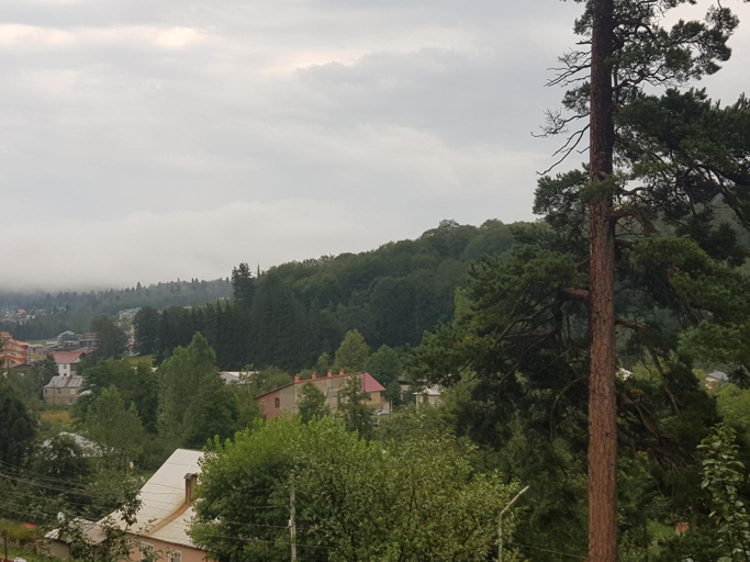 3, Villa Barleon Bakuriani, Borjomi