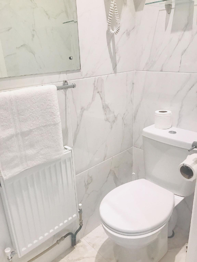 Bathroom 4, Dergvale Hotel, Dublin