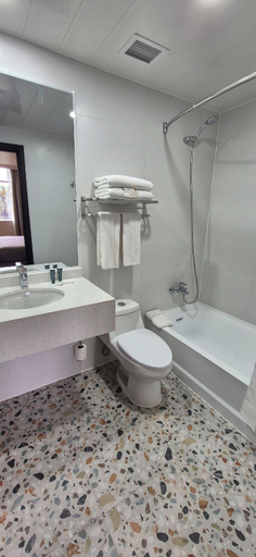 Bathroom 3, Hotel Diego de Almagro La Serena Express, Elqui