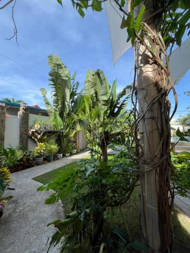 Exterior & Views 2, The Hat Trick Hostel, Moalboal