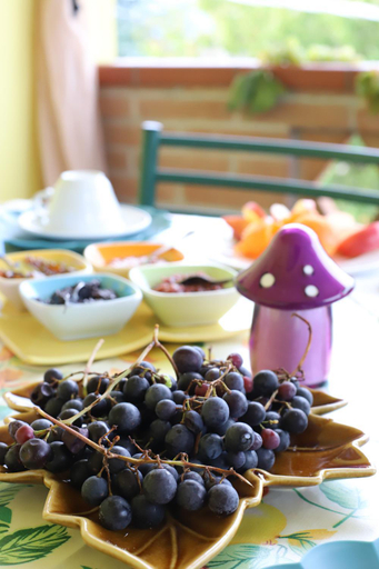 Food & Drinks 5, B&B L'uva Fragolina, Reggio Nell'Emilia