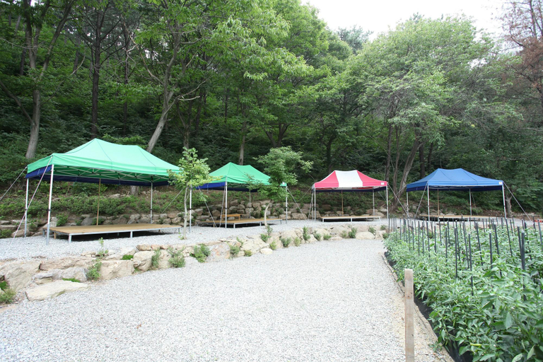 Others 4, Haemaru Pension, Pocheon