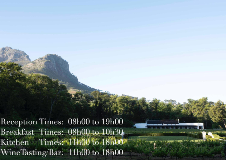 Public Area, MolenVliet Vineyards, Cape Winelands