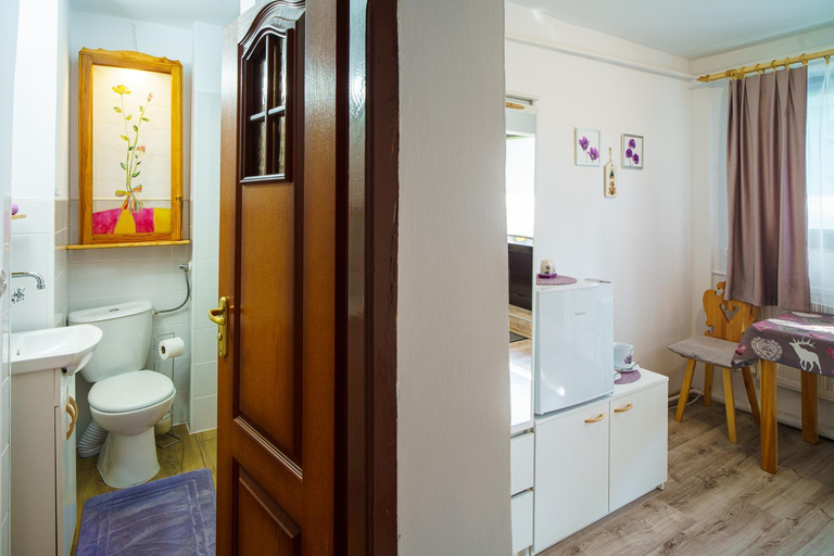 Bathroom 3, Witraz noclegi Bieszczady, Lesko