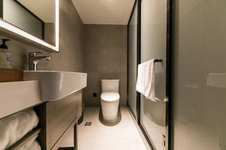 Bathroom 4, Hanting Hotel Shanghai Zhongshan Park Metro Station, Shanghai