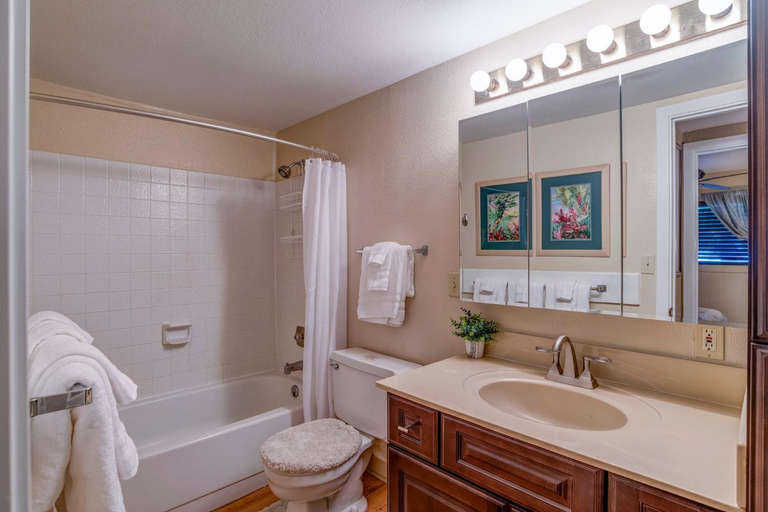 Bathroom 3, Lauloa 102, Maui