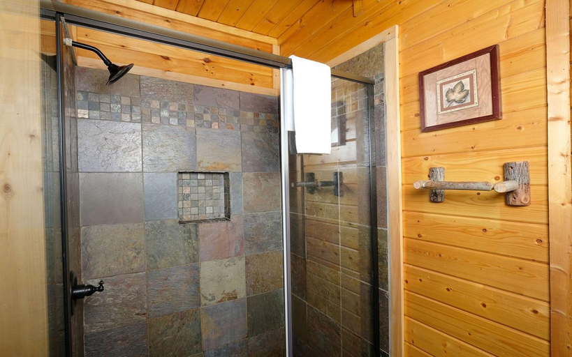 Bathroom 2, Almost Bearadise, Sevier