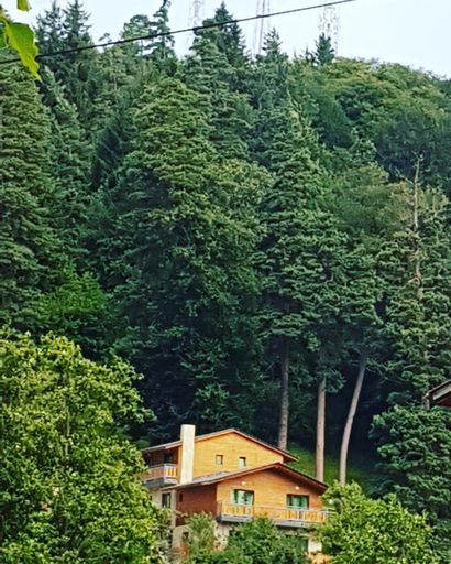 5, Villa Barleon Bakuriani, Borjomi