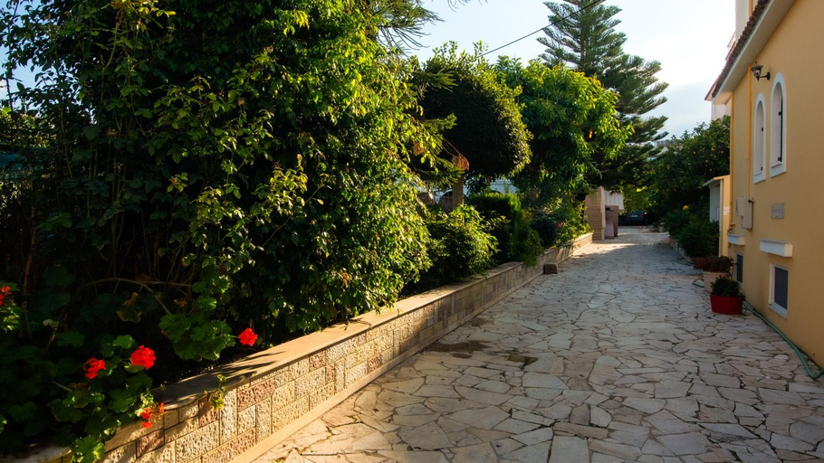 Others 5, Olga Studios - 2, Ionian Islands