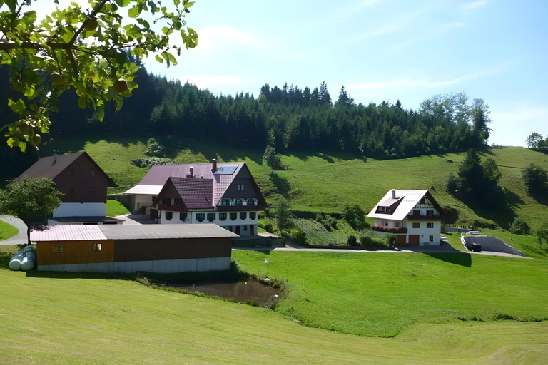 Exterior & Views 1, Holiday apartment Ferienhof Benz, Ortenaukreis