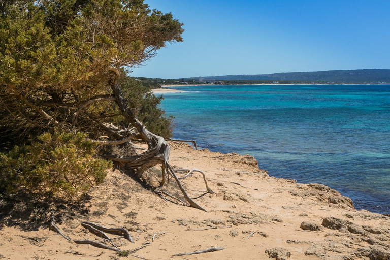 Others 5, Sa Rondalla - Formentera, Baleares