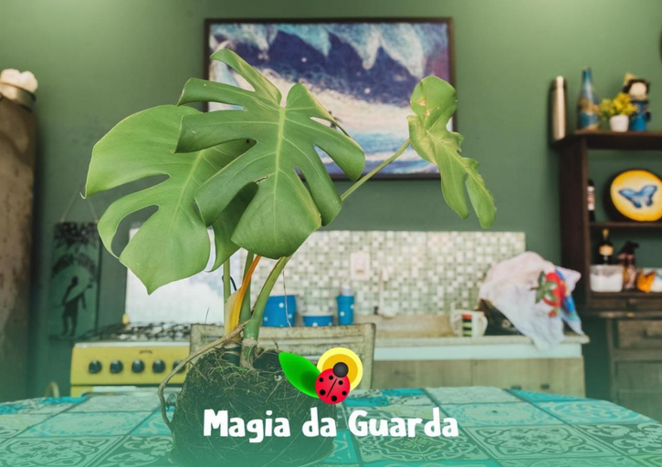 2, Pousada Magia da Guarda, Palhoça