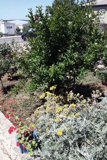 Others 5, Apartment Barbat 5070b, Lopar/Supetarska Draga