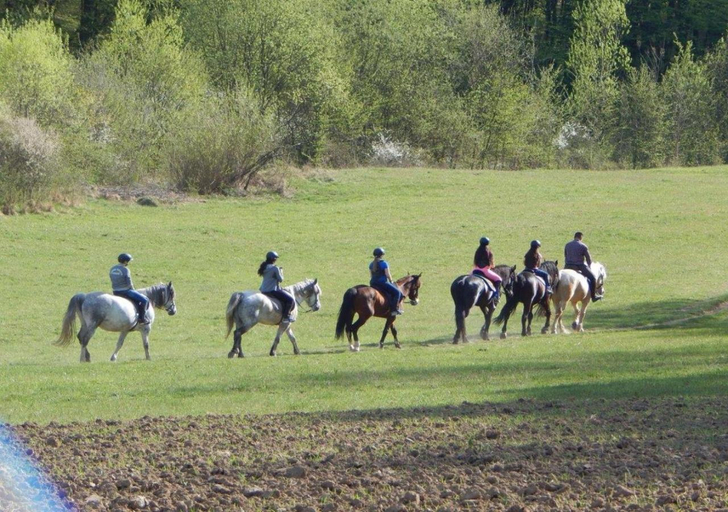 Others 5, Pensiunea Cavaler, Hidiselu De Sus