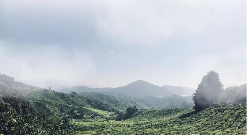 Others 3, SpringHill Resort, Cameron Highlands