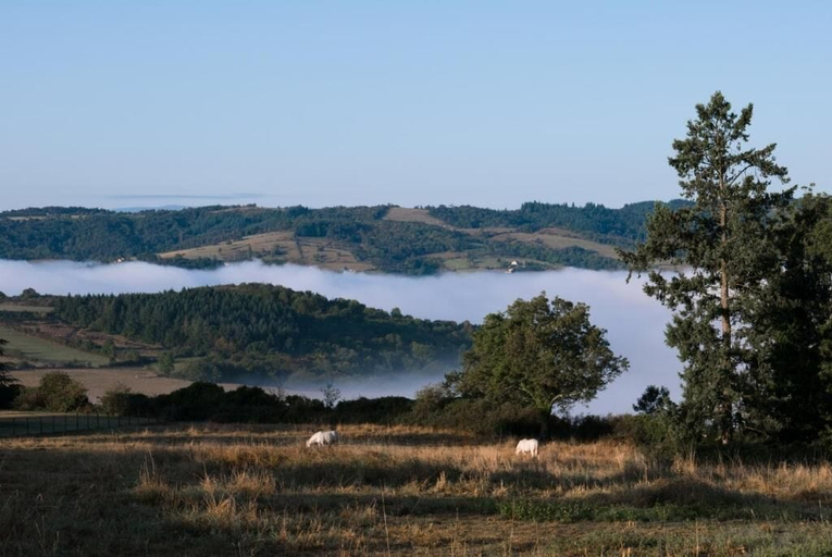 Miscellaneous, DOMAINE DES GRANDS CÈDRES, Loire