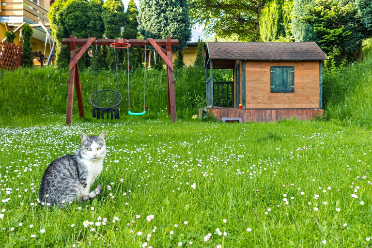 Others 3, Family House Rosa, Jelenia Góra