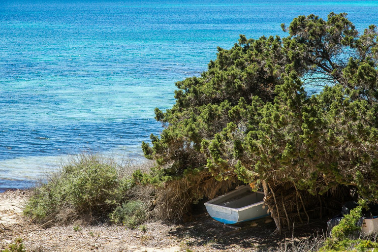 Others 4, Sa Rondalla - Formentera, Baleares