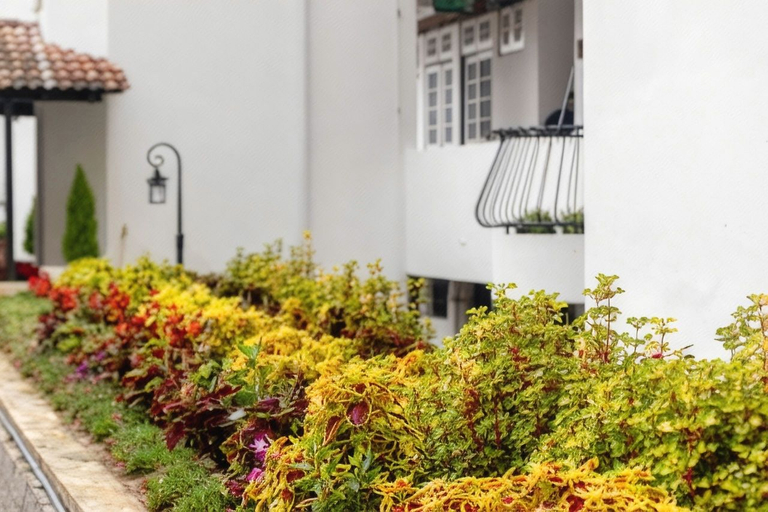 Exterior & Views 5, SpringHill Resort, Cameron Highlands