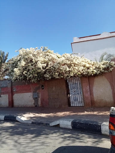 Others 3, House in dahab, Sant Katrin
