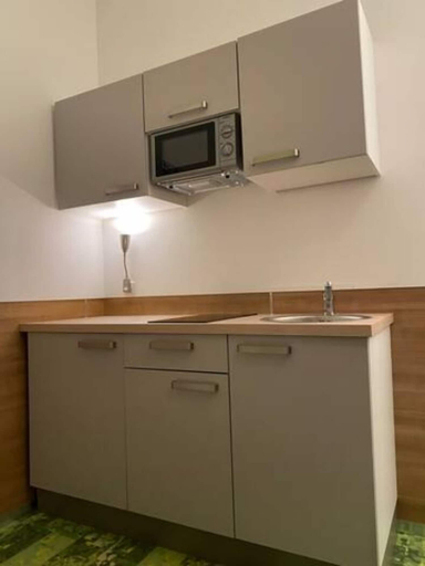 Private kitchen, Apartimo Altdorf, Landshut
