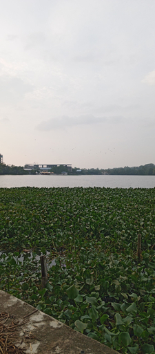 Front of property 4, Amani Lakeside, Panadura