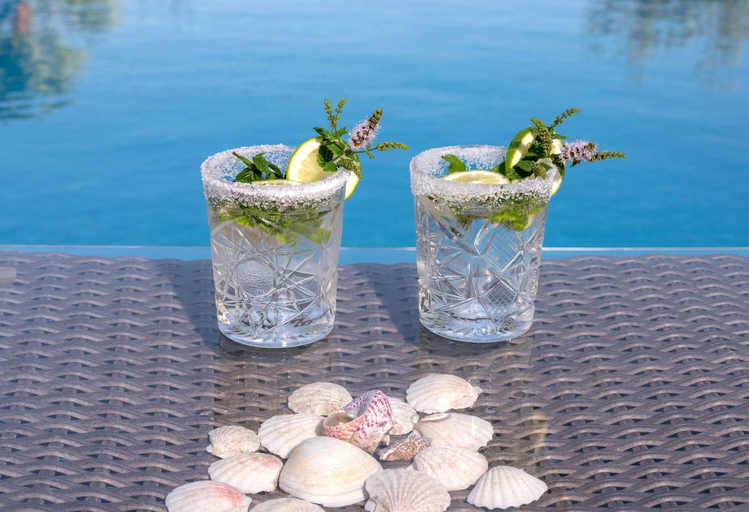 Food & Drinks 5, Luxurious Villa David, Crete