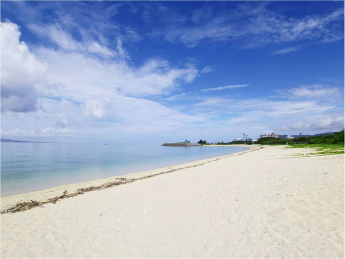 Others 3, Green Rich Hotel Okinawa Nago (Artificial Hot Spring Futamata Yunohana), Nago