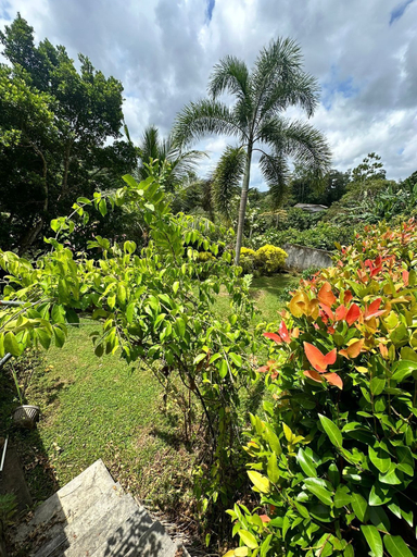 Garden 4, Albion Nest Galle, Akmeemana