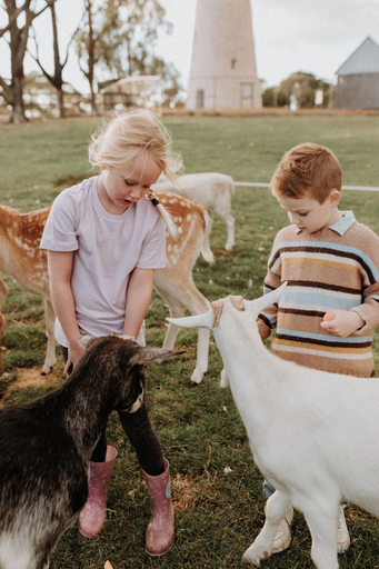 Property grounds 4, Hahndorf Farm Barn, Adelaide
