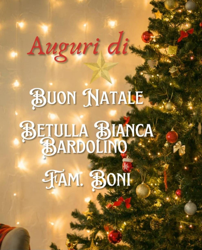 Others 3, BETULLA BIANCA, Verona