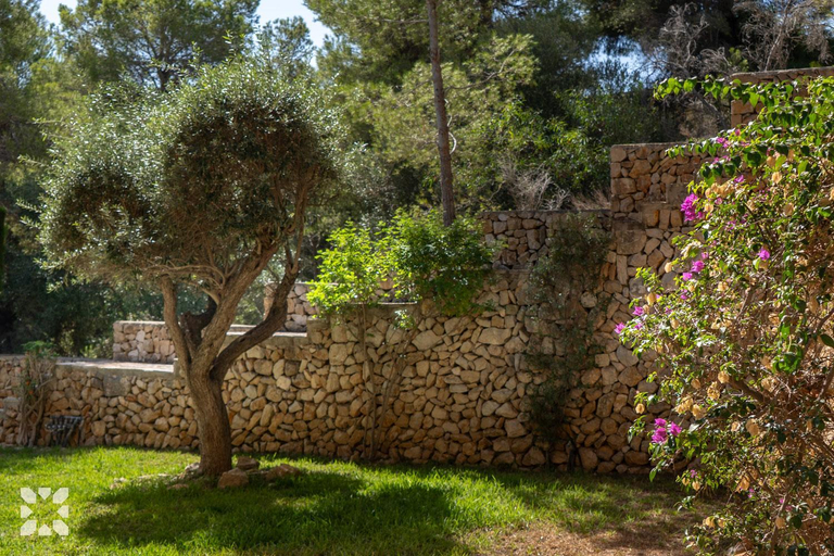 Others 2, Villa El Magraner by Abahana Villas, Alicante