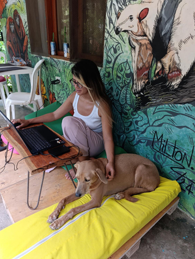 Bedroom 2, Hostal Palomino EcoHouse & Camping, Riohacha